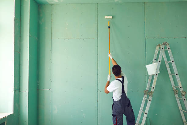 Best Dehumidification Services  in Otsego, MI