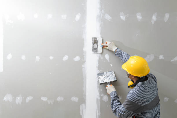 Best Mold Odor Removal Services  in Otsego, MI