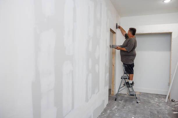 Best Mold Prevention Services  in Otsego, MI
