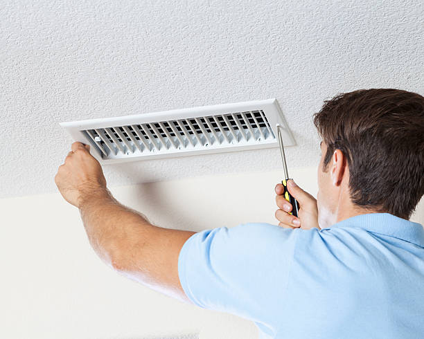  Otsego, MI Mold Removal Pros
