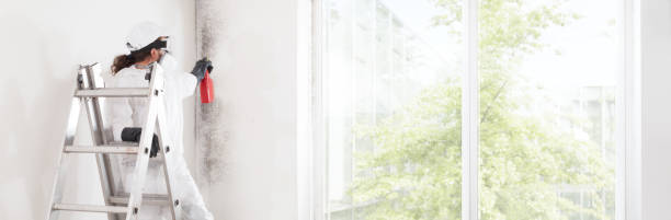 Best Mold Documentation for Insurance Claims  in Otsego, MI